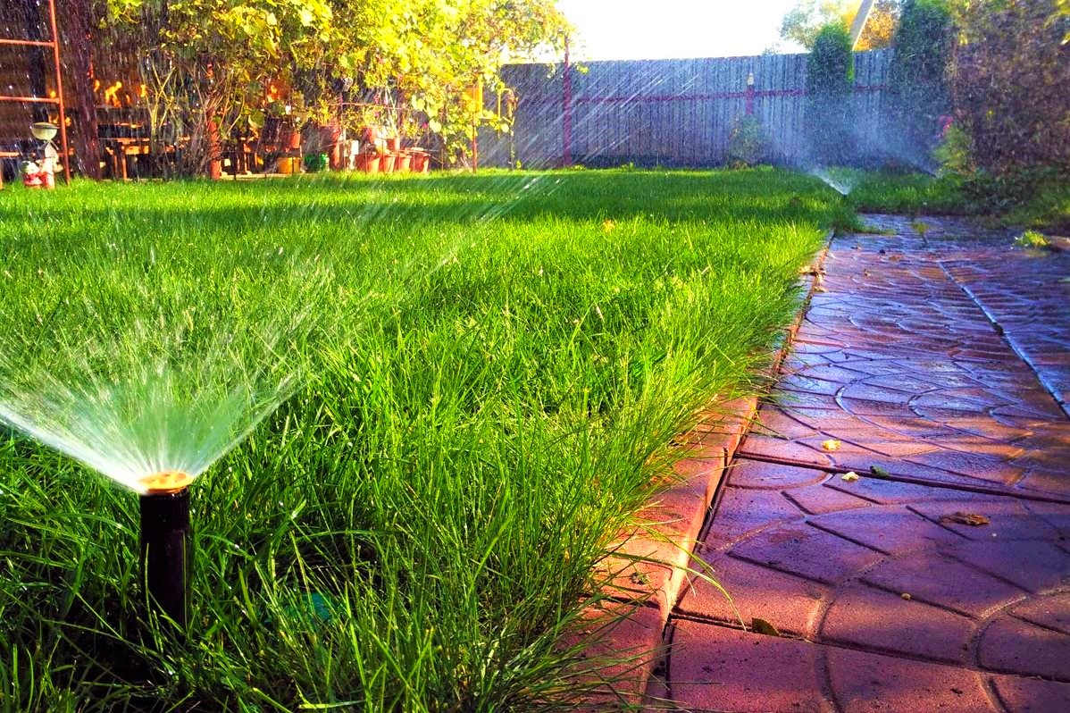 Çim Bakımı Görseli