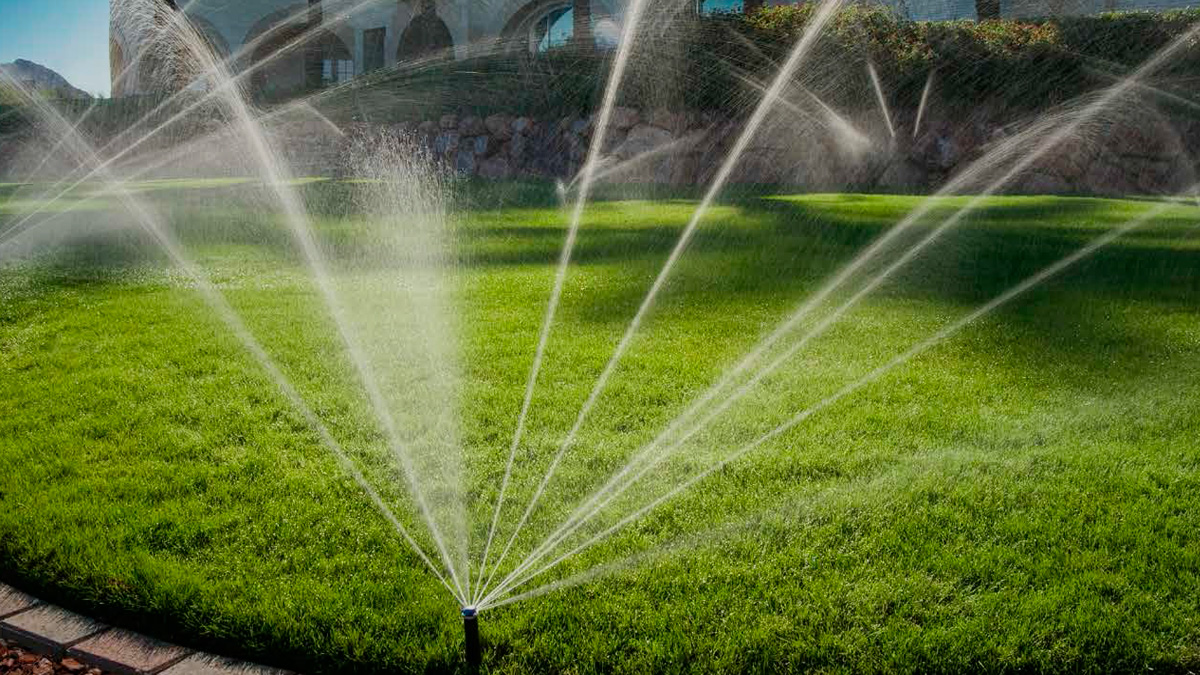Çim Bakımı Görseli