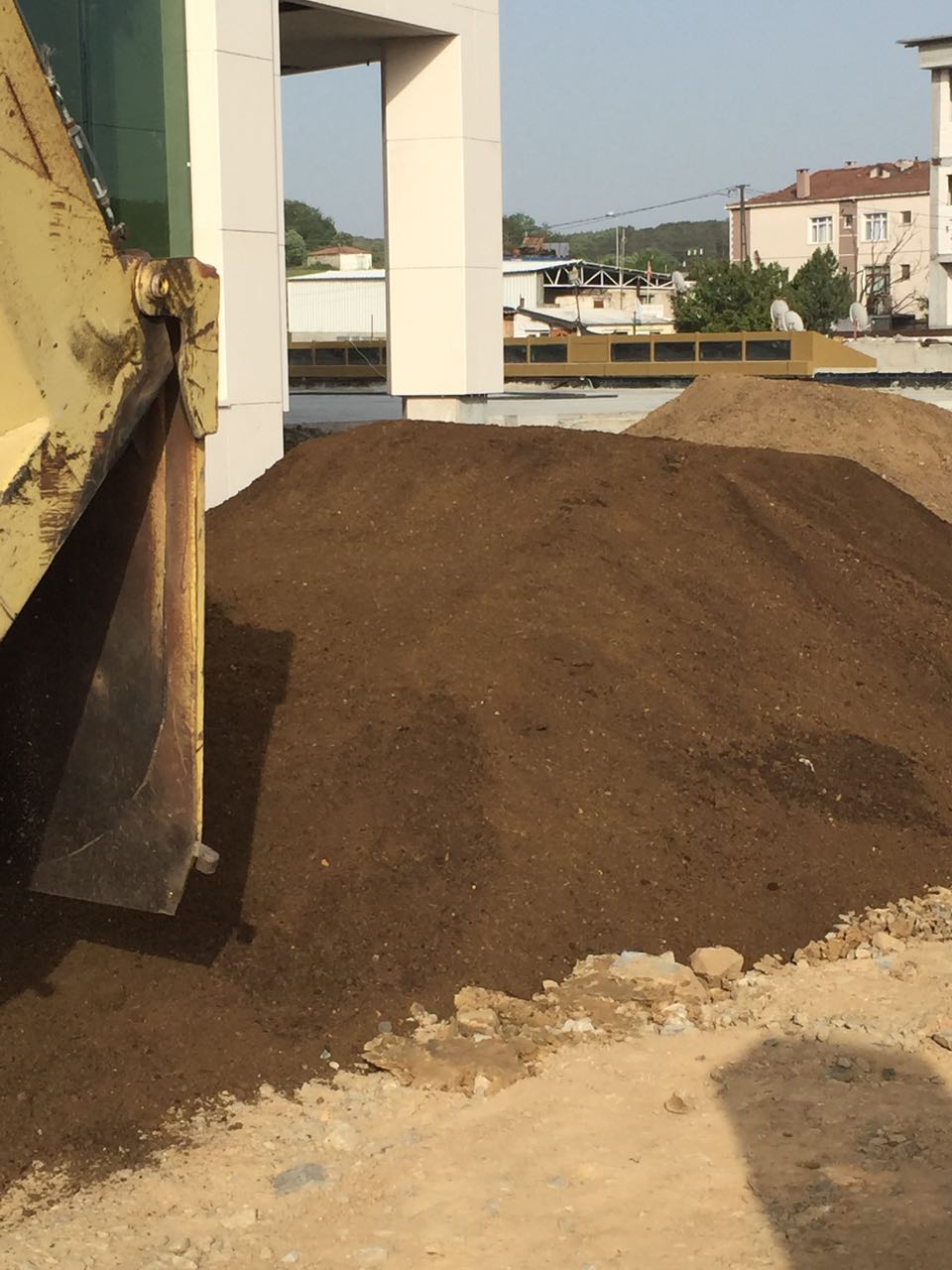 Çim Bakımı Görseli