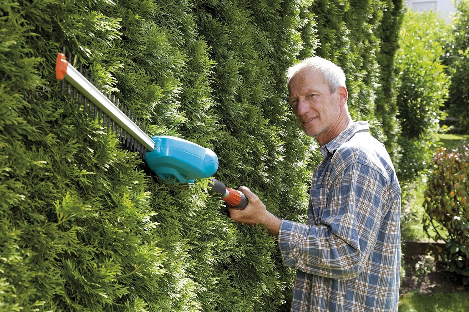 Çim Bakımı Görseli